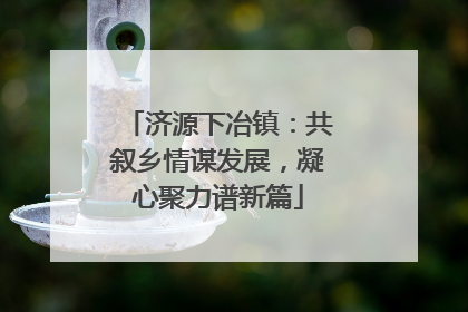 济源下冶镇：共叙乡情谋发展，凝心聚力谱新篇