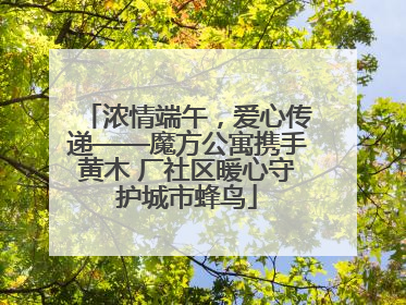 浓情端午，爱心传递——魔方公寓携手黄木 厂社区暖心守护城市蜂鸟