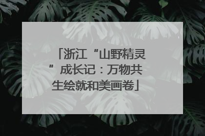 浙江“山野精灵”成长记：万物共生绘就和美画卷