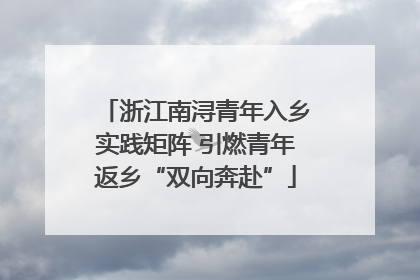 浙江南浔青年入乡实践矩阵 引燃青年返乡“双向奔赴”