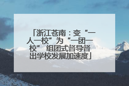 浙江苍南：变“一人一校”为“一团一校” 组团式督导督出学校发展加速度
