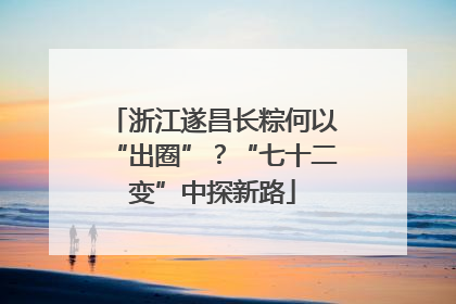 浙江遂昌长粽何以“出圈”？“七十二变”中探新路