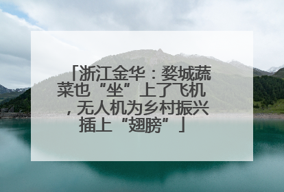 浙江金华：婺城蔬菜也“坐”上了飞机，无人机为乡村振兴插上“翅膀”