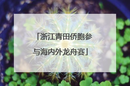 浙江青田侨胞参与海内外龙舟赛