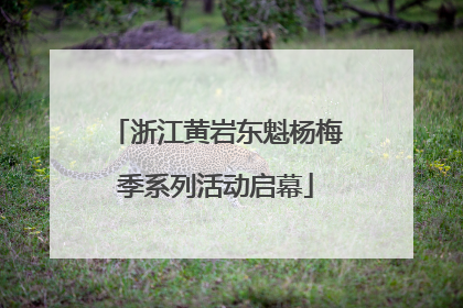 浙江黄岩东魁杨梅季系列活动启幕
