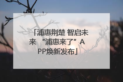 浦惠荆楚 智启未来 “浦惠来了”APP焕新发布