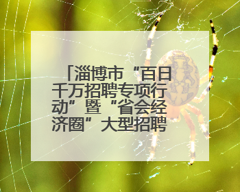 淄博市“百日千万招聘专项行动”暨“省会经济圈”大型招聘会举办