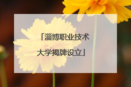 淄博职业技术大学揭牌设立