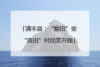 清丰县：“粮田”变“良田”村民笑开颜