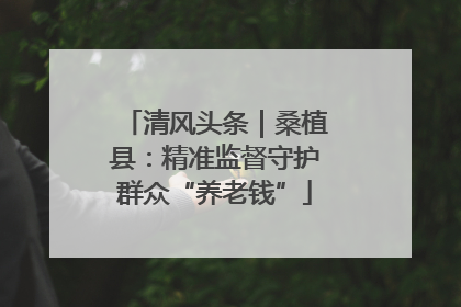 清风头条｜桑植县：精准监督守护群众“养老钱”