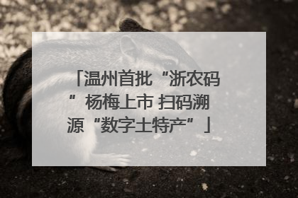 温州首批“浙农码”杨梅上市 扫码溯源“数字土特产”