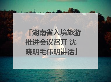 湖南省入境旅游推进会议召开 沈晓明毛伟明讲话