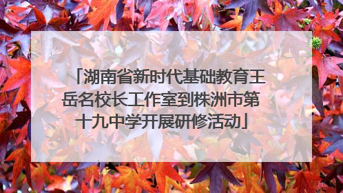 湖南省新时代基础教育王岳名校长工作室到株洲市第十九中学开展研修活动