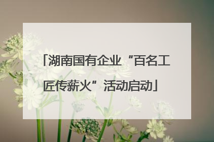 湖南国有企业“百名工匠传薪火”活动启动
