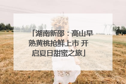 湖南新邵：高山早熟黄桃抢鲜上市 开启夏日甜蜜之旅