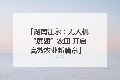 湖南江永：无人机“展翅”农田 开启高效农业新篇章