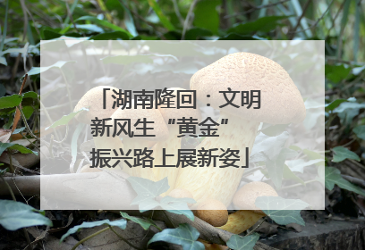 湖南隆回：文明新风生“黄金” 振兴路上展新姿