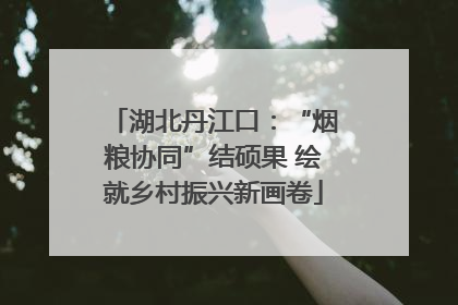 湖北丹江口：“烟粮协同”结硕果 绘就乡村振兴新画卷