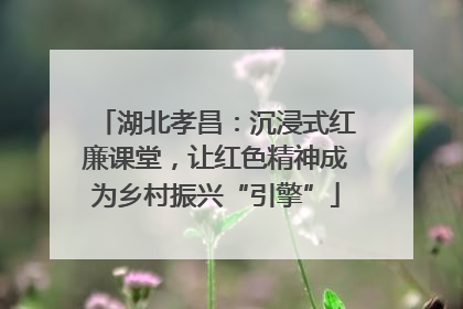 湖北孝昌：沉浸式红廉课堂，让红色精神成为乡村振兴“引擎”