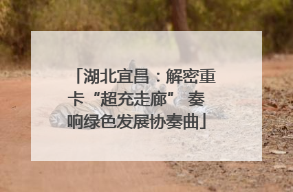 湖北宜昌：解密重卡“超充走廊” 奏响绿色发展协奏曲