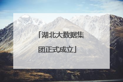 湖北大数据集团正式成立