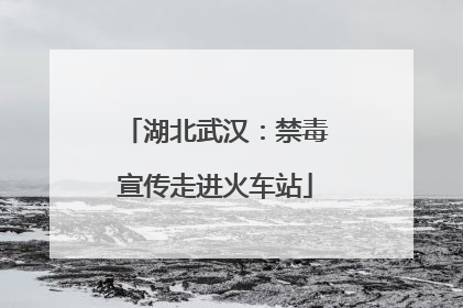 湖北武汉：禁毒宣传走进火车站