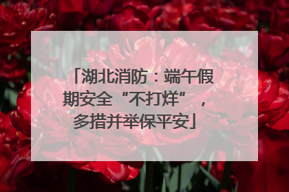 湖北消防：端午假期安全“不打烊”，多措并举保平安