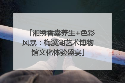 湘绣香囊养生+色彩风暴：梅溪湖艺术博物馆文化体验盛宴