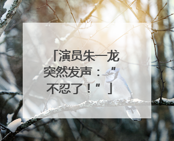 演员朱一龙突然发声：“不忍了！”