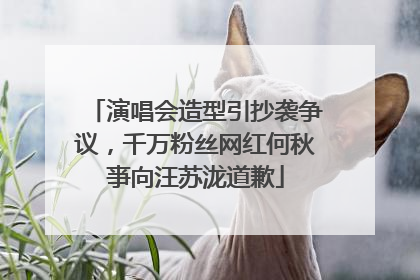 演唱会造型引抄袭争议，千万粉丝网红何秋亊向汪苏泷道歉