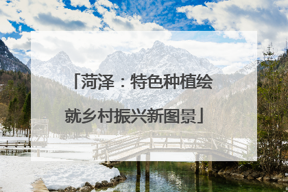 菏泽：特色种植绘就乡村振兴新图景