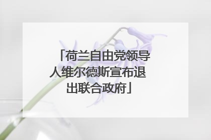 荷兰自由党领导人维尔德斯宣布退出联合政府