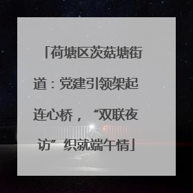 荷塘区茨菇塘街道：党建引领架起连心桥，“双联夜访”织就端午情