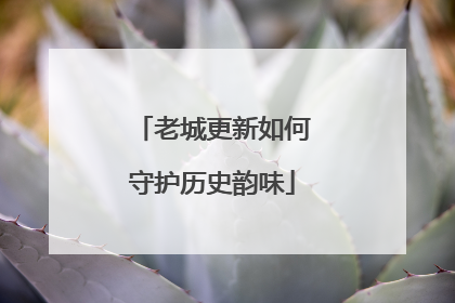 老城更新如何守护历史韵味
