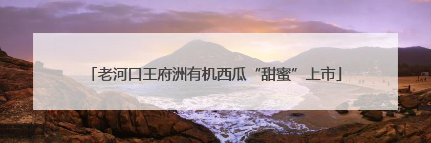 老河口王府洲有机西瓜“甜蜜”上市