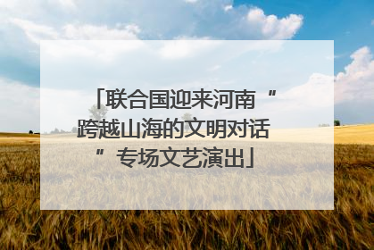 联合国迎来河南“跨越山海的文明对话”专场文艺演出