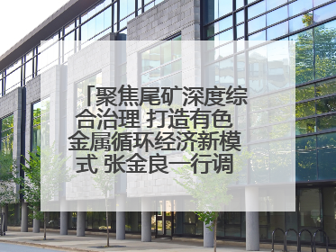 聚焦尾矿深度综合治理 打造有色金属循环经济新模式 张金良一行调研栾川县尾矿库综合治理工作
