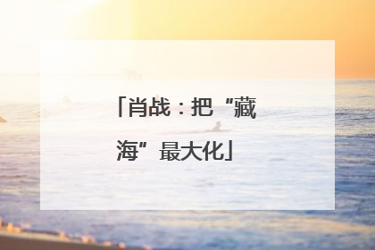 肖战：把“藏海”最大化