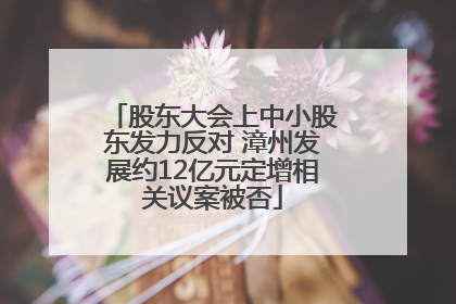 股东大会上中小股东发力反对 漳州发展约12亿元定增相关议案被否