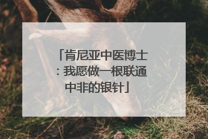 肯尼亚中医博士：我愿做一根联通中非的银针