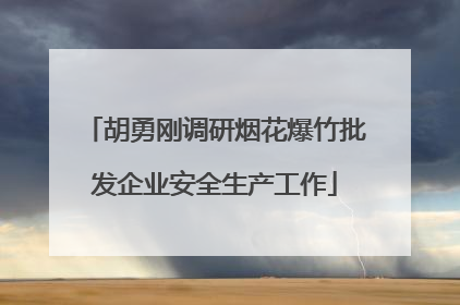胡勇刚调研烟花爆竹批发企业安全生产工作