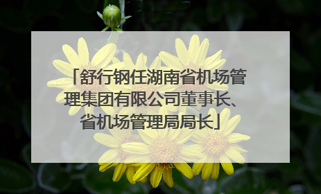 舒行钢任湖南省机场管理集团有限公司董事长、省机场管理局局长