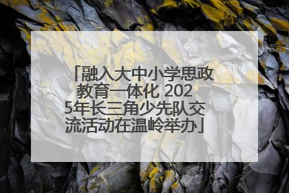 融入大中小学思政教育一体化 2025年长三角少先队交流活动在温岭举办