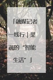融媒记者一线行｜果蔬的“智能生活”