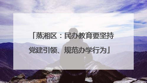 蒸湘区：民办教育要坚持党建引领、规范办学行为