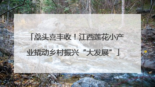 藠头喜丰收！江西莲花小产业撬动乡村振兴“大发展”