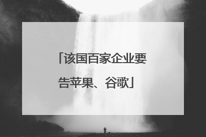 该国百家企业要告苹果、谷歌