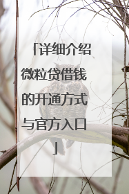 详细介绍微粒贷借钱的开通方式与官方入口