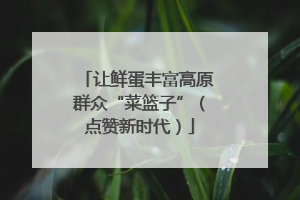 让鲜蛋丰富高原群众“菜篮子”（点赞新时代）