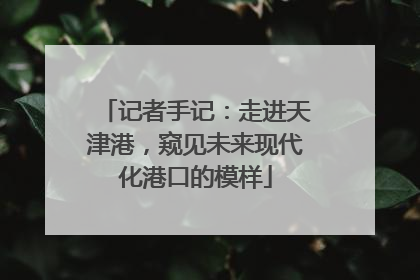 记者手记：走进天津港，窥见未来现代化港口的模样